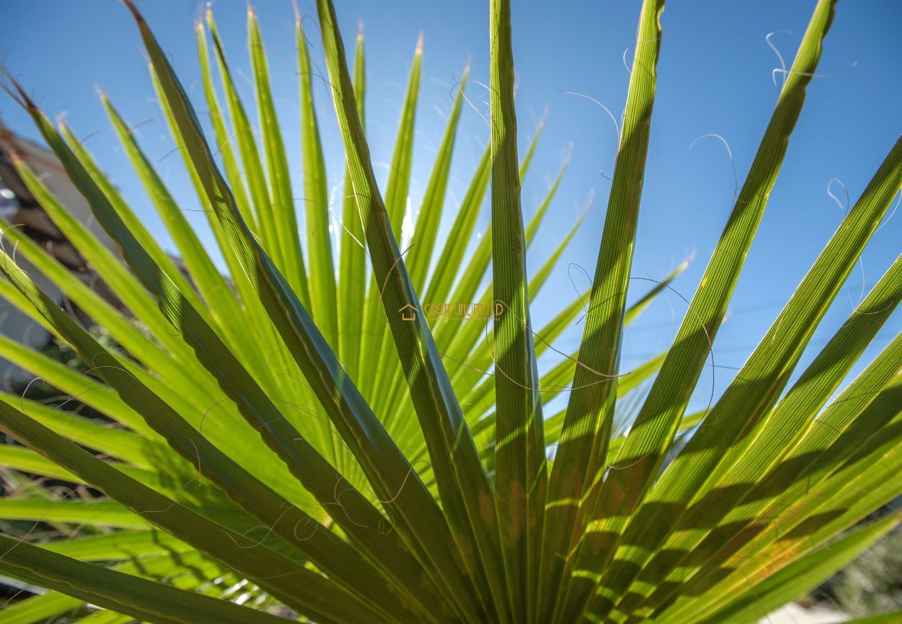 Villa in Lliber - Casa Maitama
